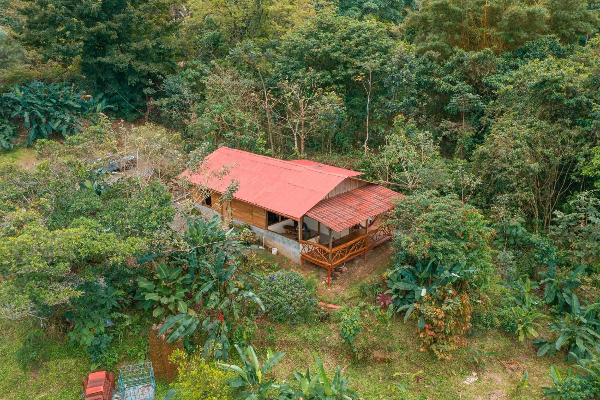 La Tigra Rainforest Lodge La Fortuna Exterior photo