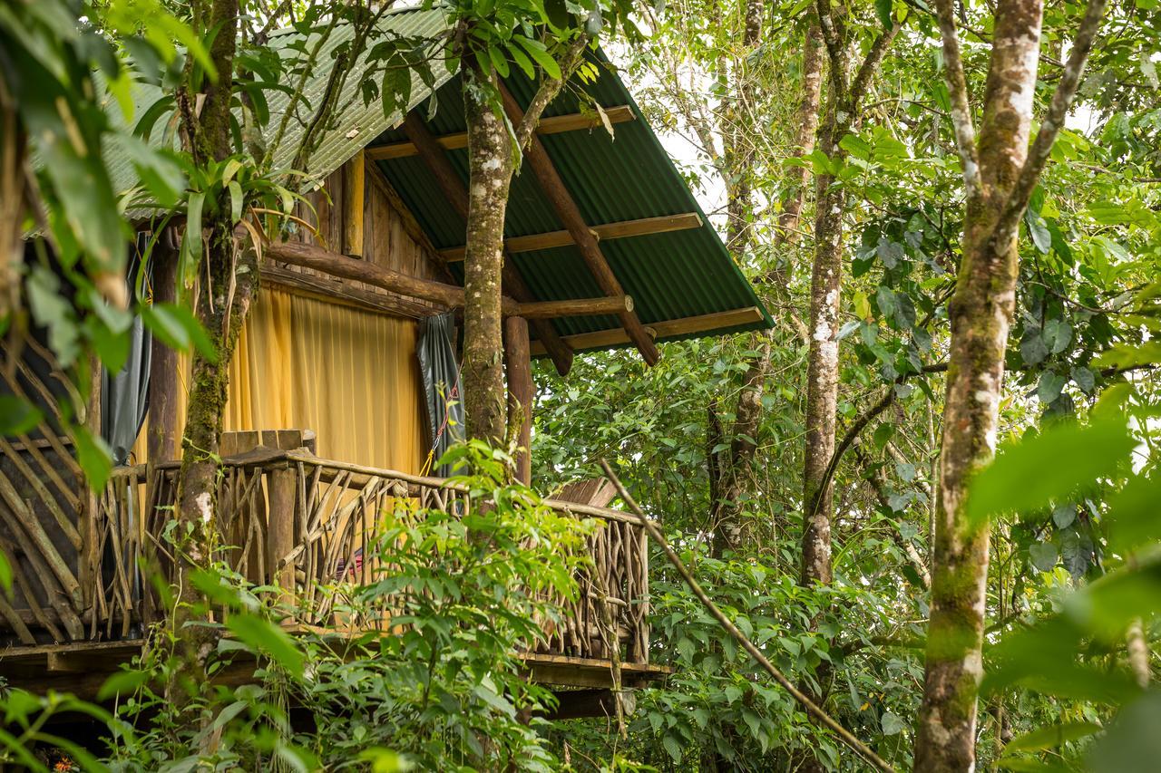 La Tigra Rainforest Lodge La Fortuna Exterior photo