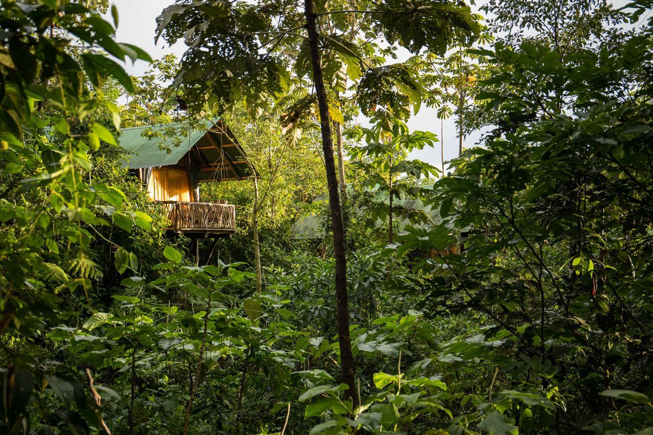 La Tigra Rainforest Lodge La Fortuna Exterior photo